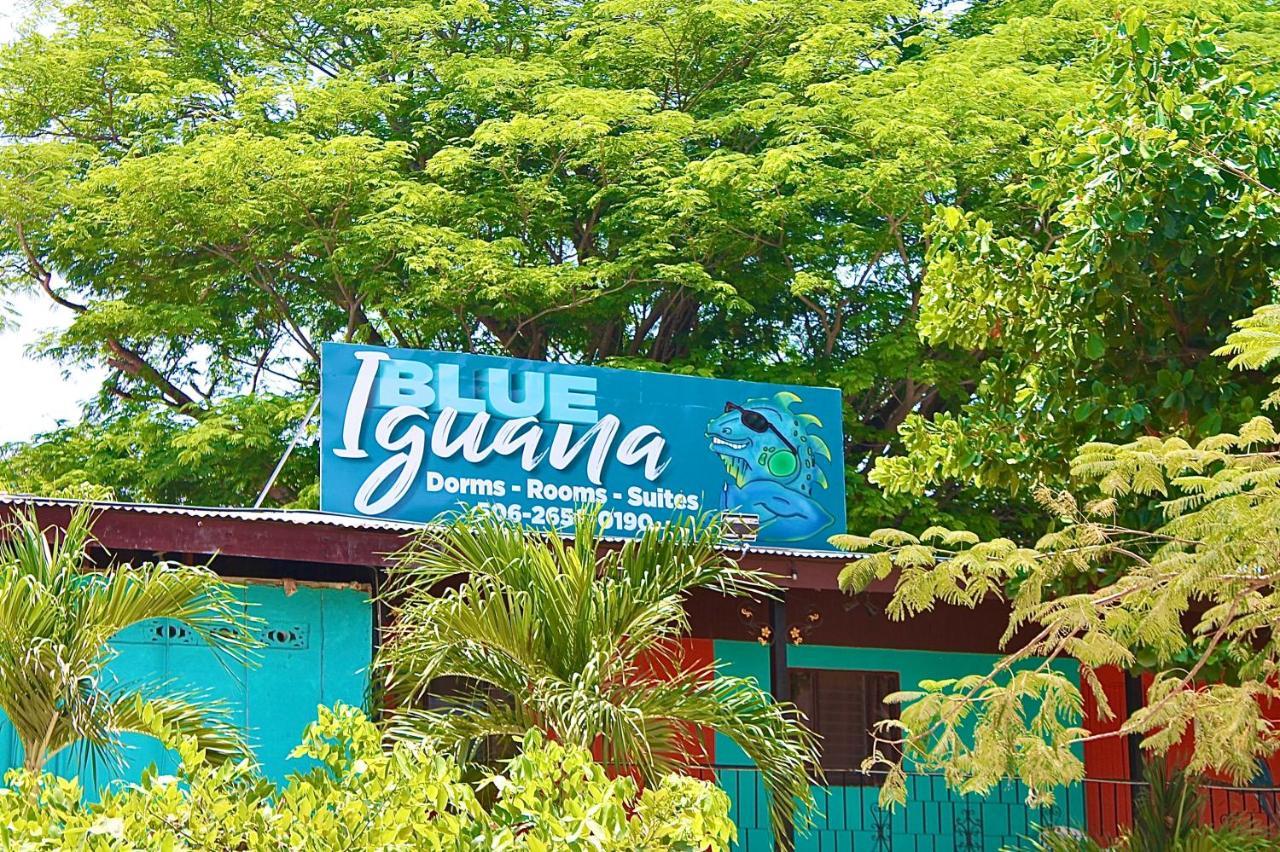 Sámara Blue Iguana酒店 外观 照片